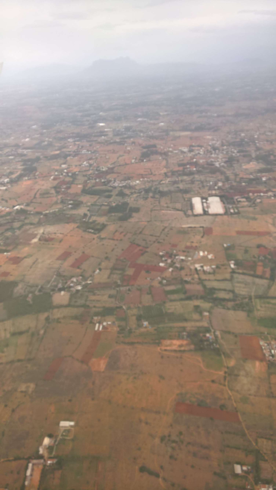 WP 20160630 12 34 28 Rich LI