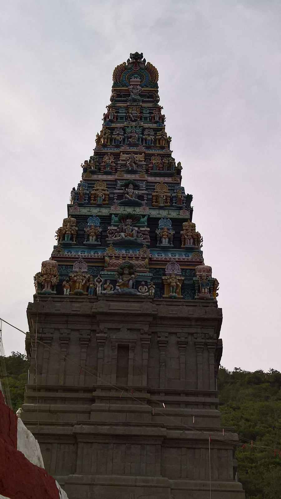 WP 20160630 16 28 12 Rich LI