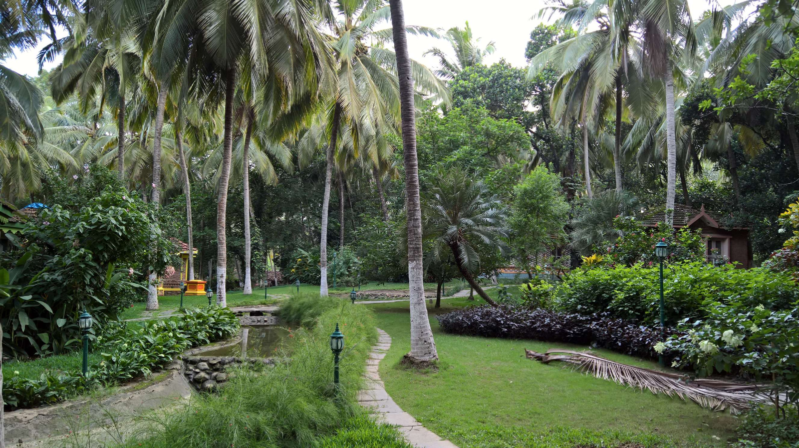 WP 20160701 18 05 52 Rich LI