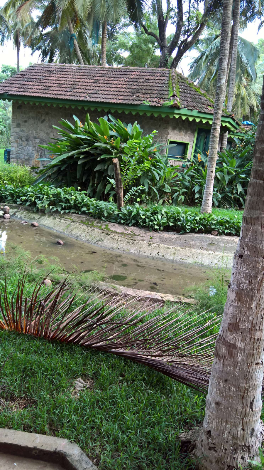 WP 20160701 18 06 05 Rich LI