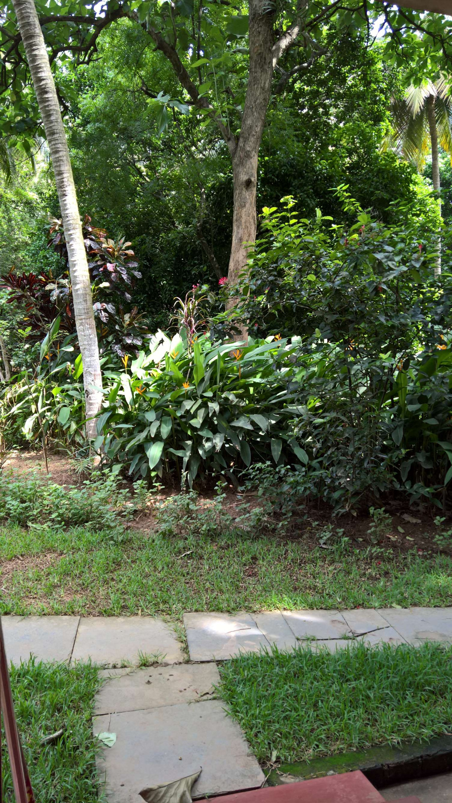 WP 20160702 10 46 03 Rich LI