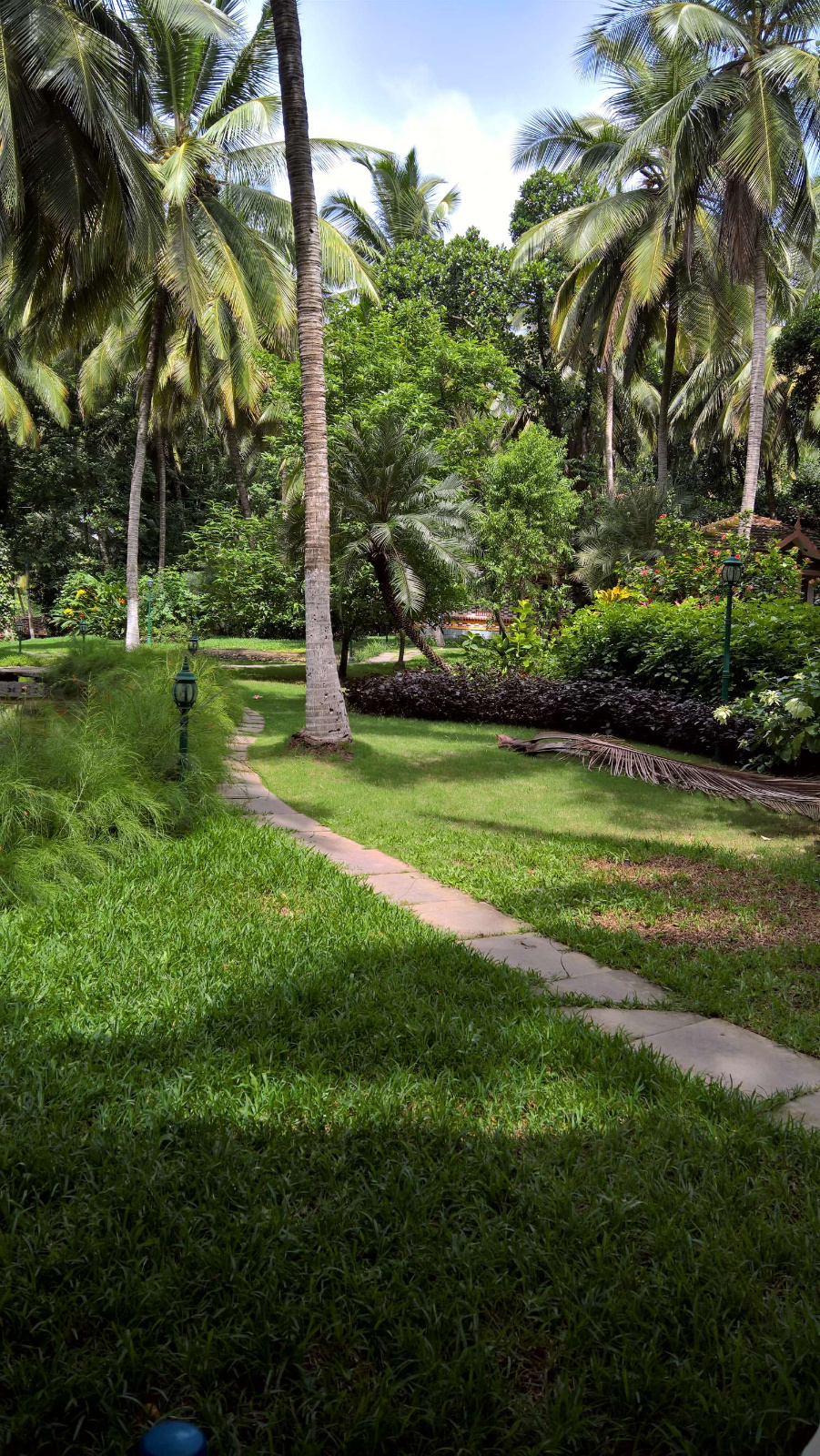 WP 20160702 10 46 28 Rich LI