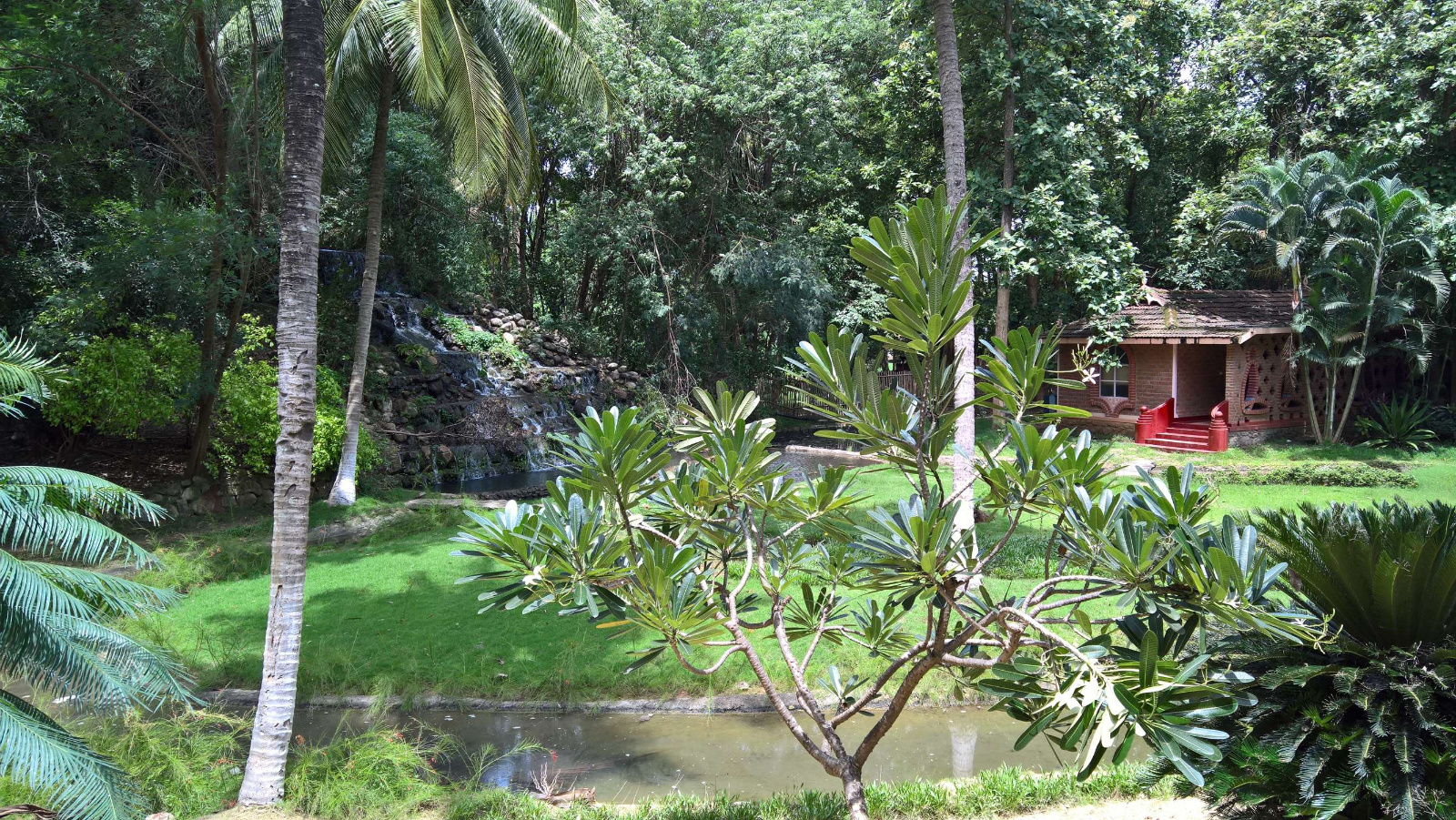 WP 20160702 13 00 48 Rich LI