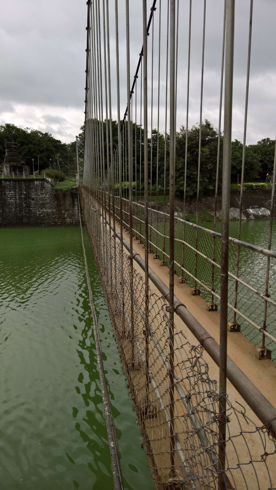 WP 20160704 14 33 39 Pro LI