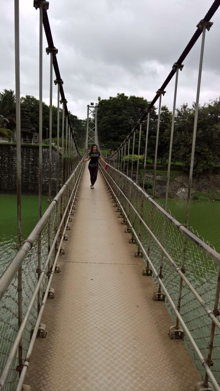 WP 20160704 14 36 26 Pro LI