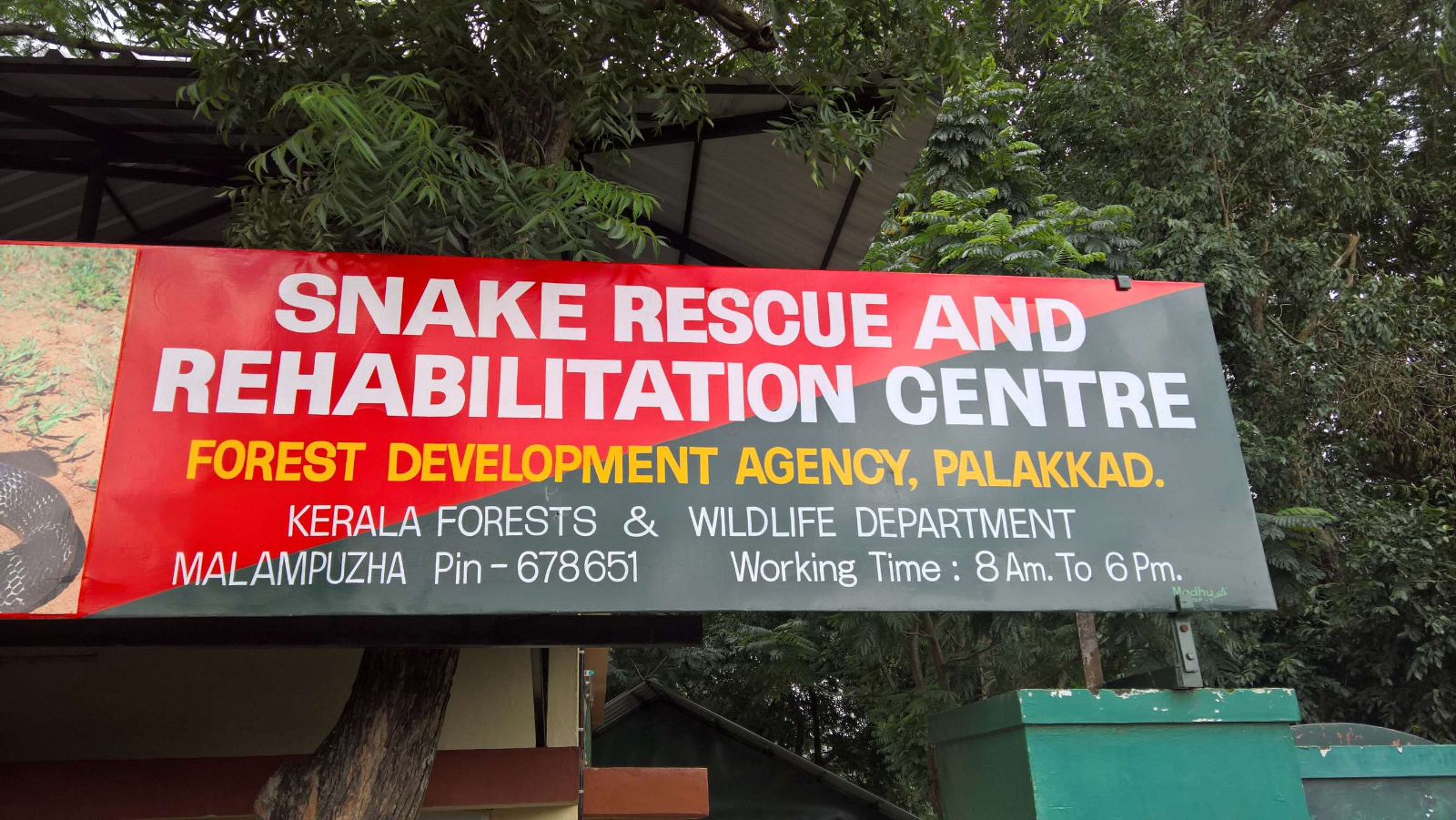 WP 20160704 15 09 54 Pro LI