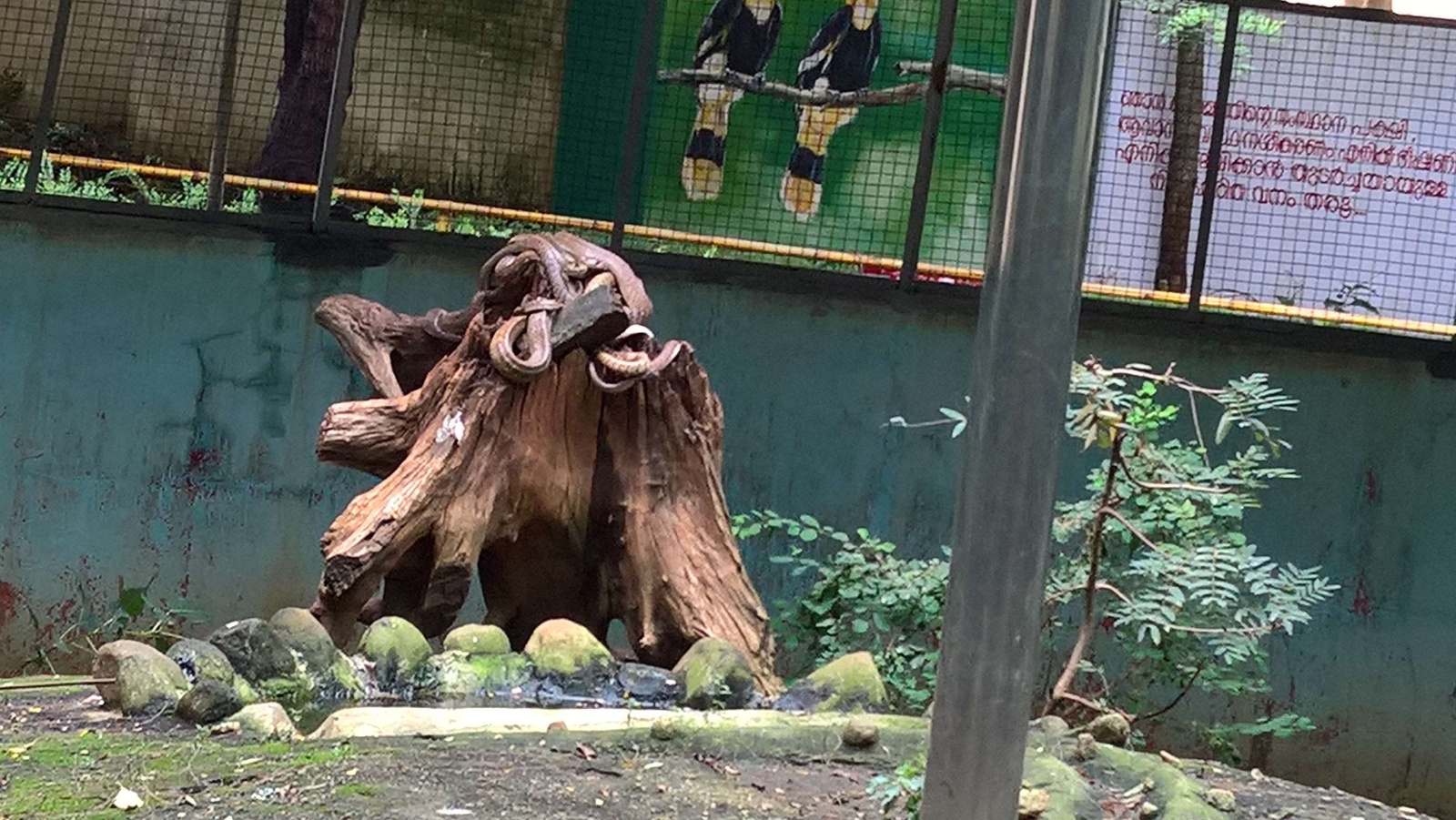 WP 20160704 15 14 40 Pro LI