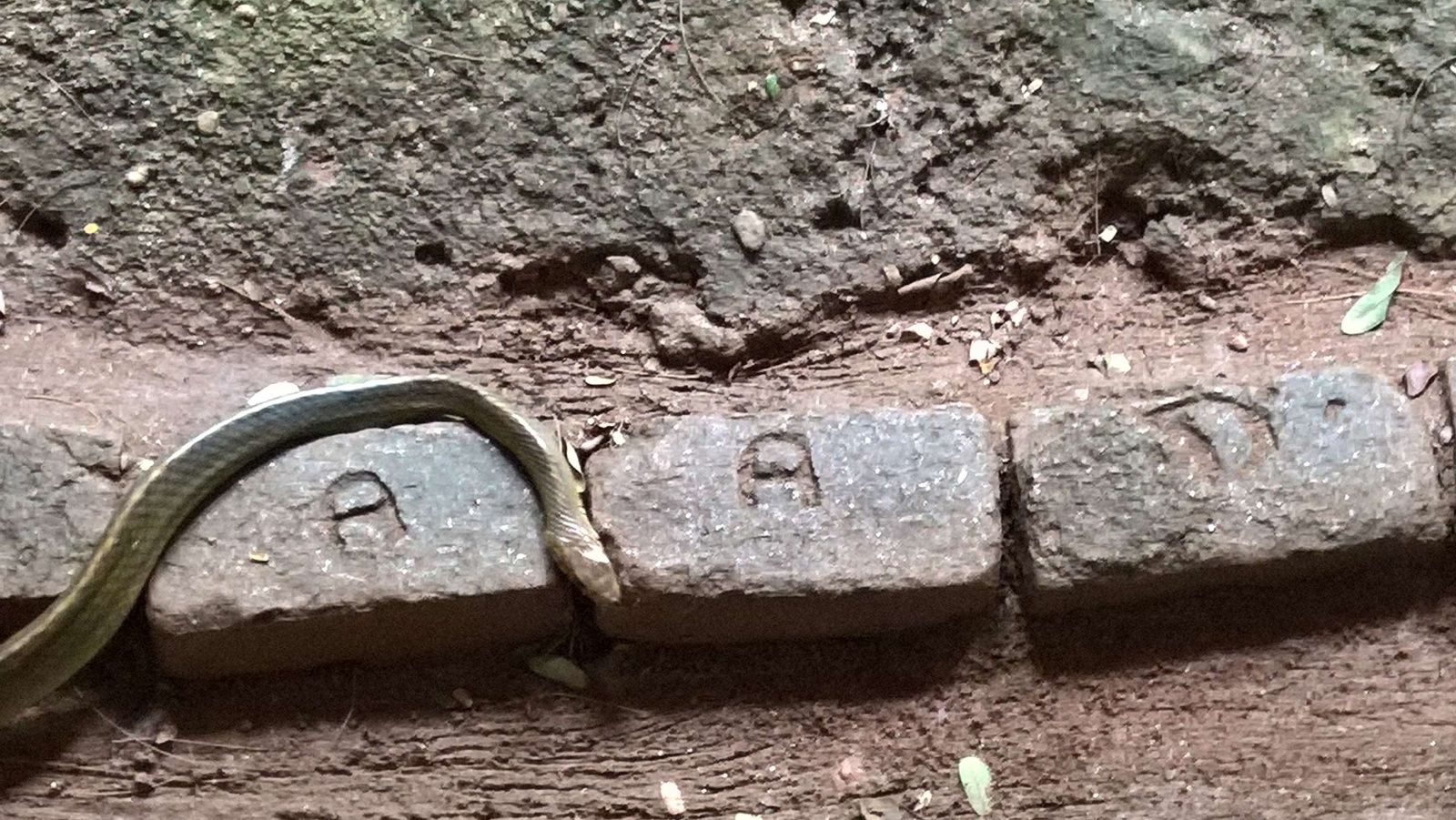 WP 20160704 15 15 47 Pro LI