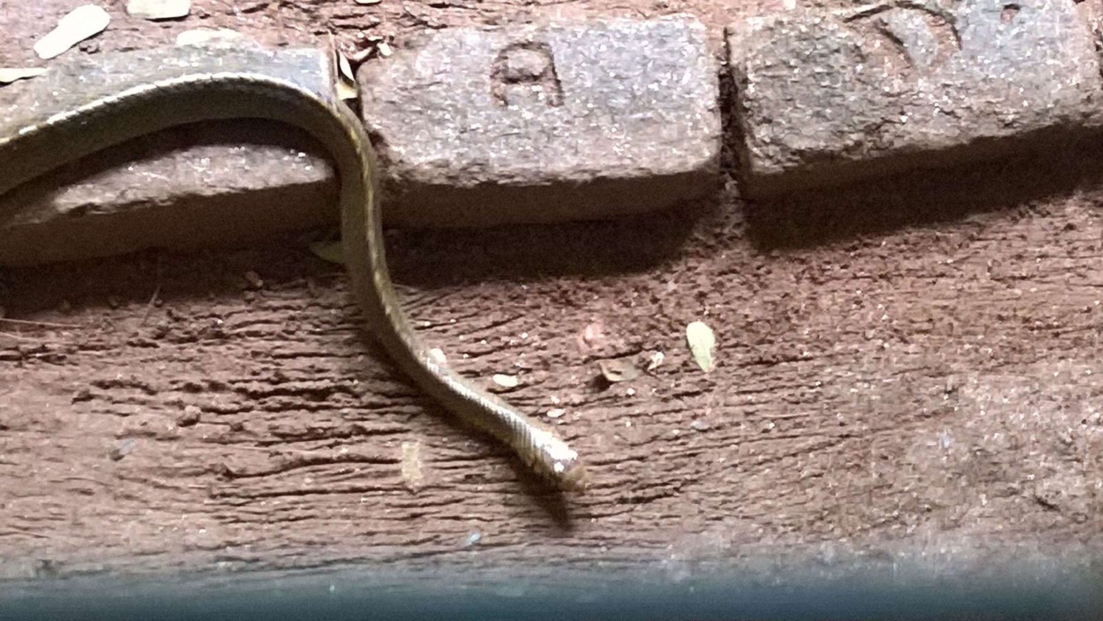 WP 20160704 15 15 52 Pro LI