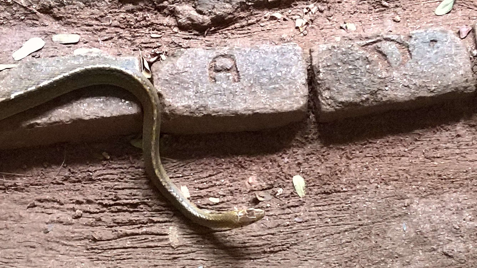 WP 20160704 15 15 54 Pro LI