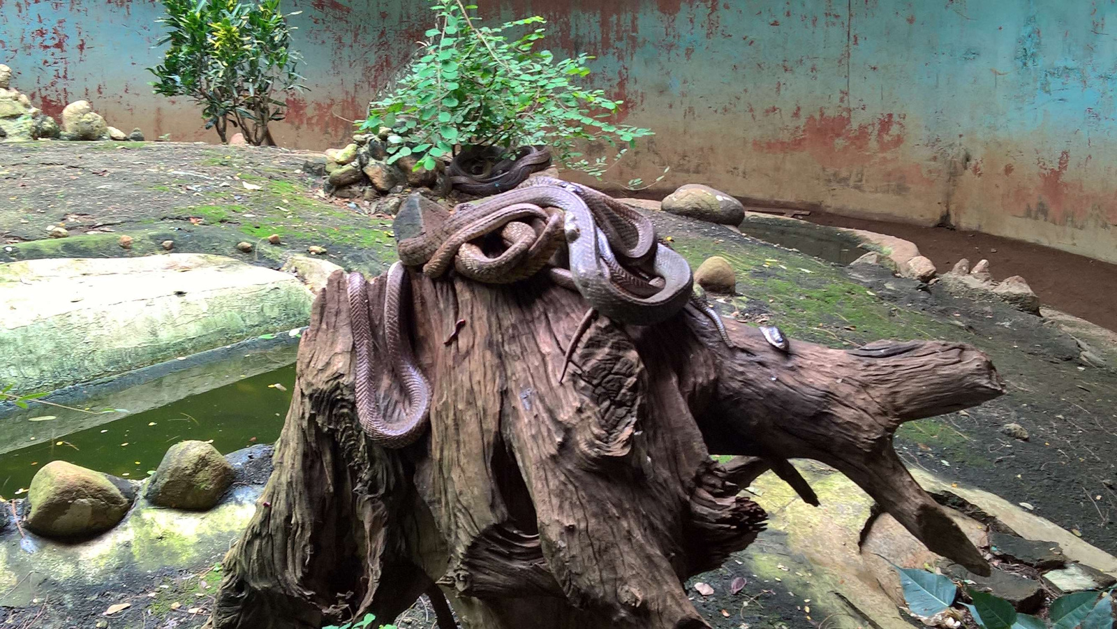 WP 20160704 15 17 52 Pro LI