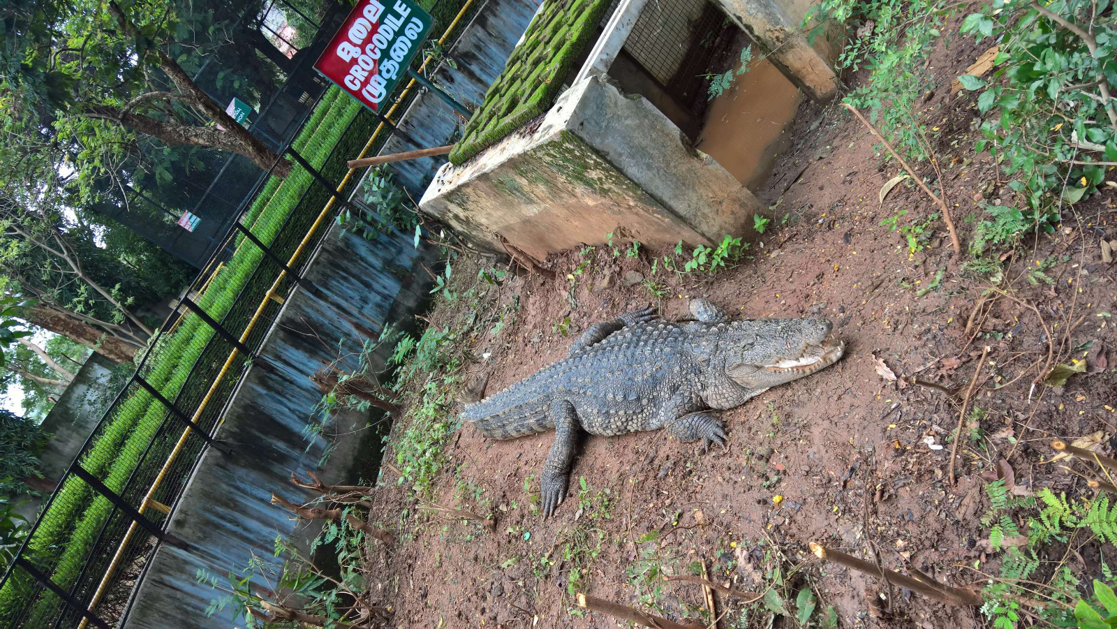 WP 20160704 15 19 24 Pro LI