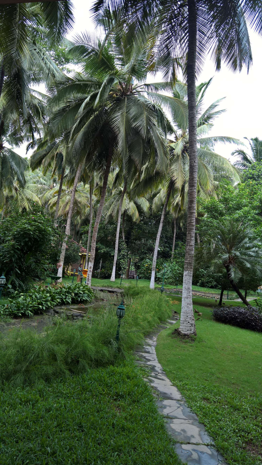 WP 20160705 09 33 50 Pro LI