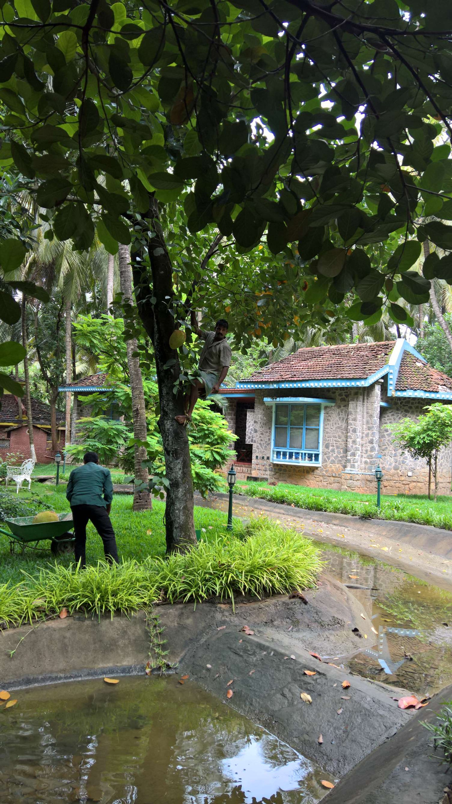 WP 20160708 09 20 31 Pro