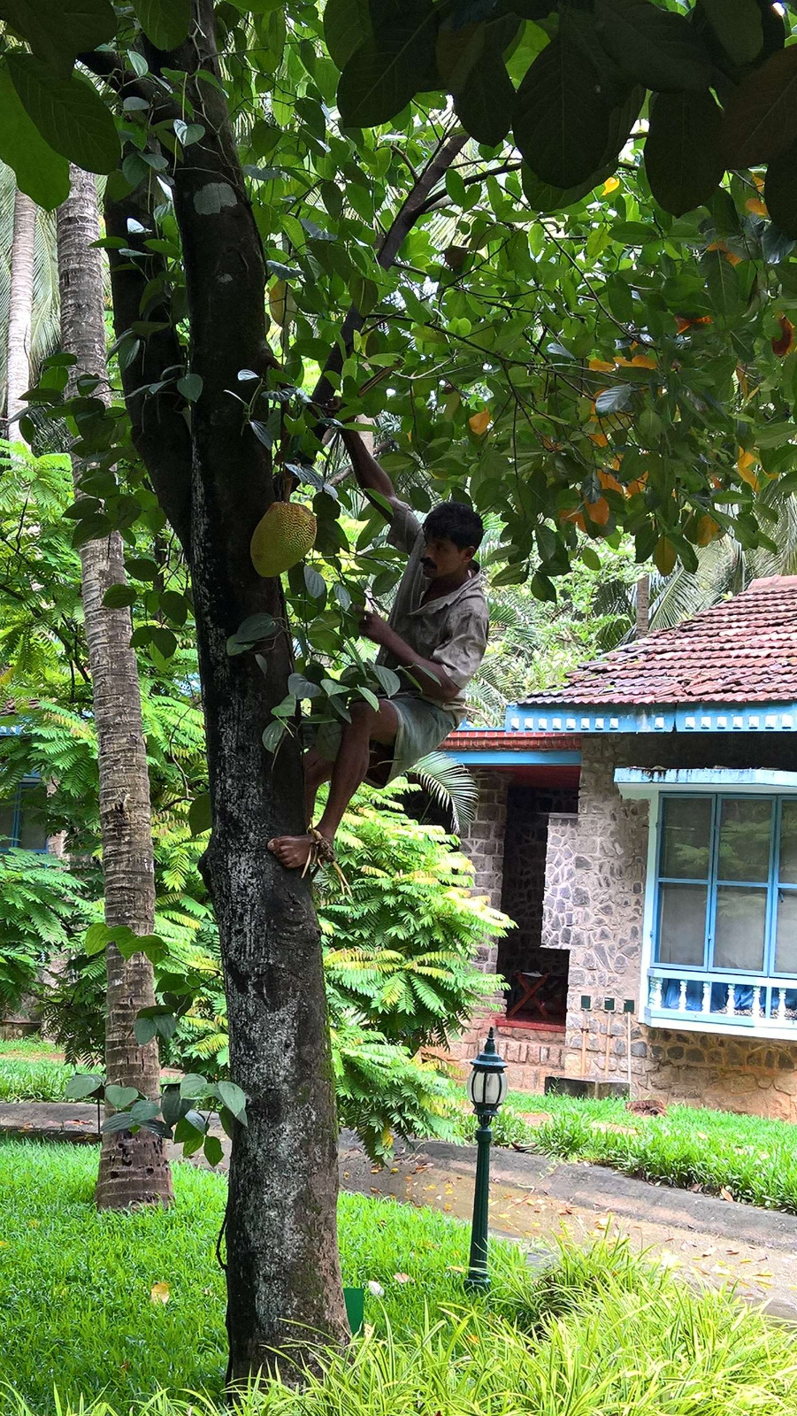 WP 20160708 09 20 37 Pro