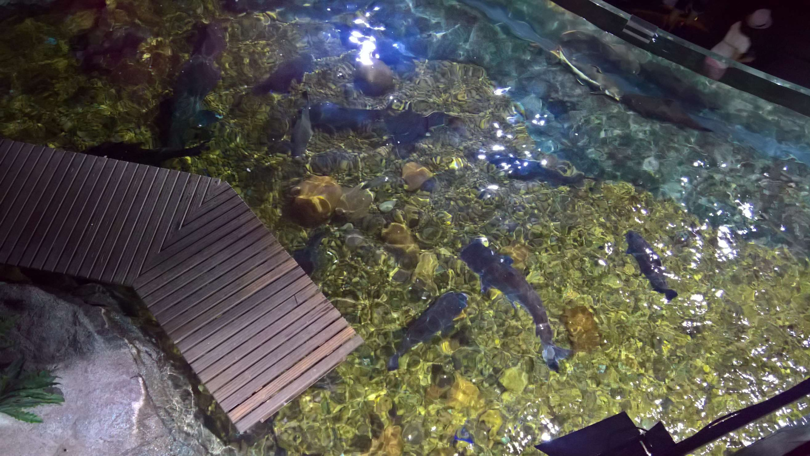 WP 20160713 13 08 15 Rich LI