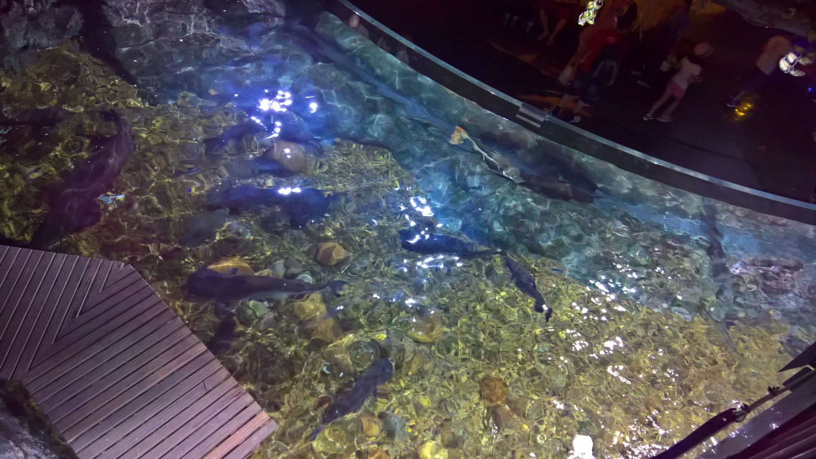 WP 20160713 13 08 19 Rich LI