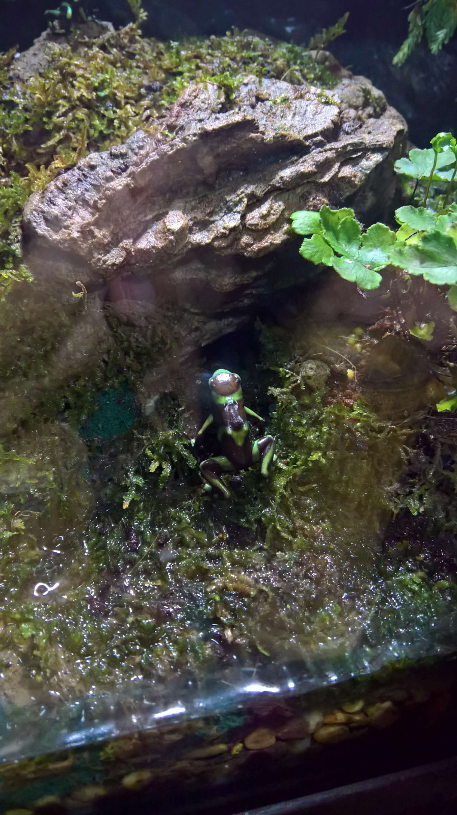 WP 20160713 13 09 18 Rich LI