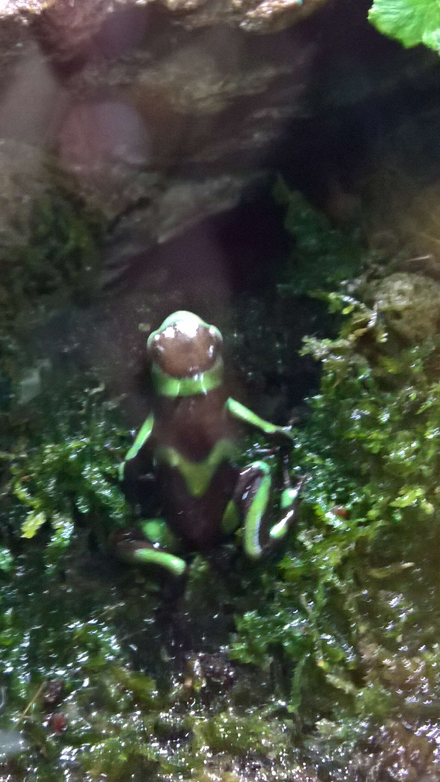 WP 20160713 13 09 27 Rich LI