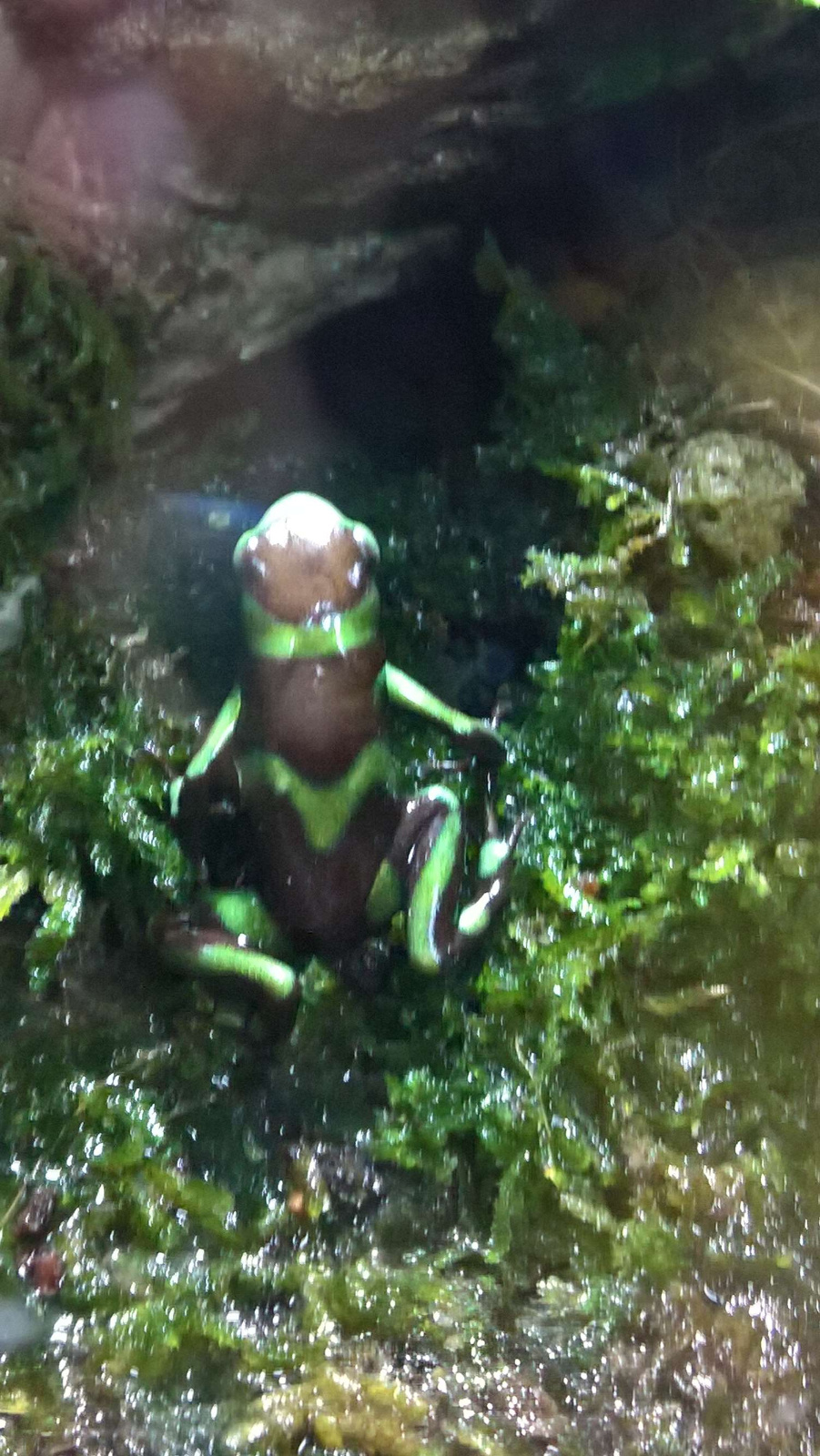 WP 20160713 13 09 30 Rich LI