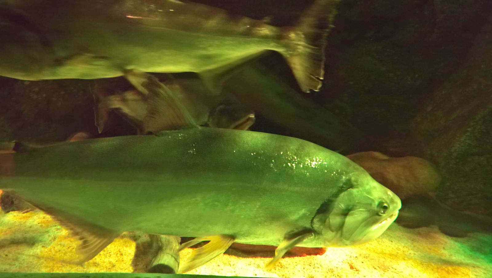 WP 20160713 13 11 31 Rich LI