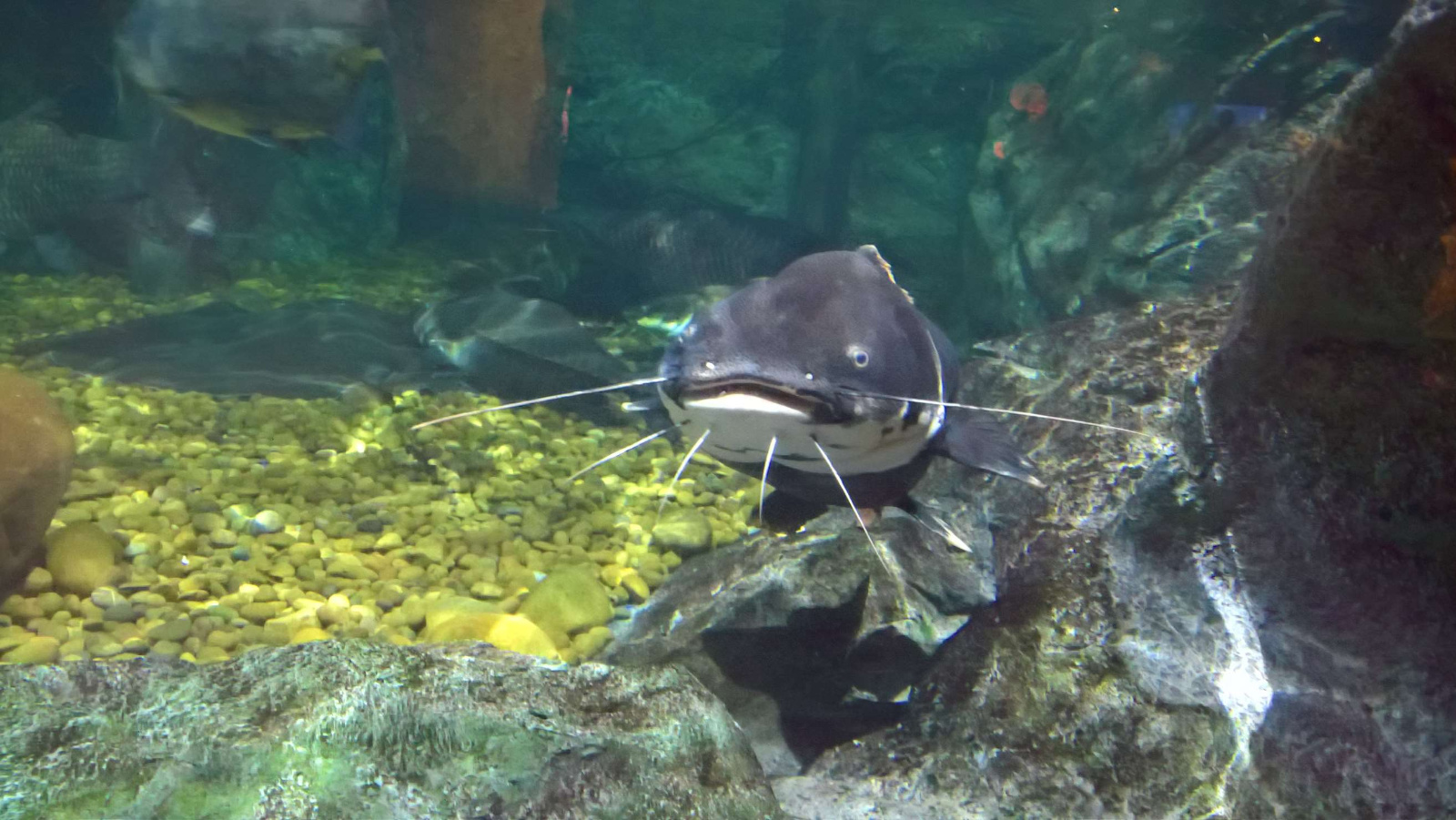 WP 20160713 13 14 29 Rich LI