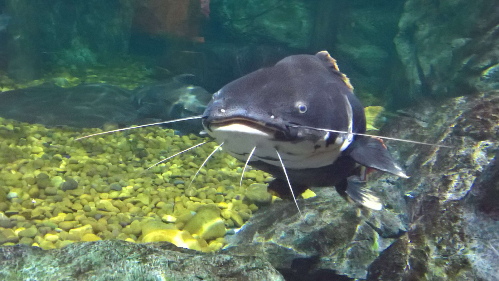 WP 20160713 13 14 33 Rich LI