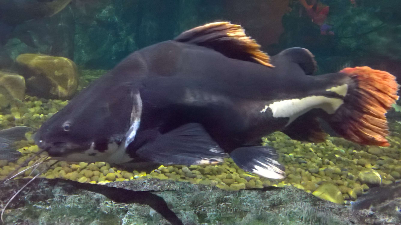 WP 20160713 13 14 43 Rich LI