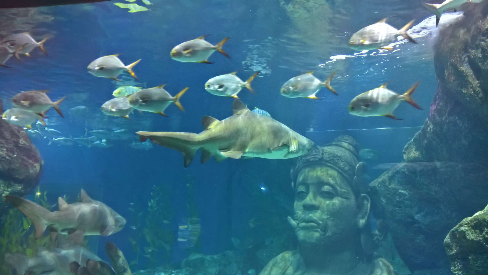 WP 20160713 13 23 18 Rich LI