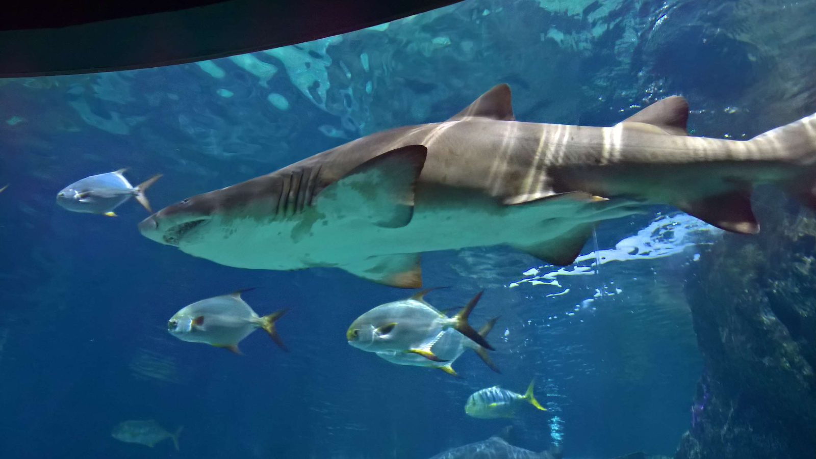 WP 20160713 13 23 40 Rich LI