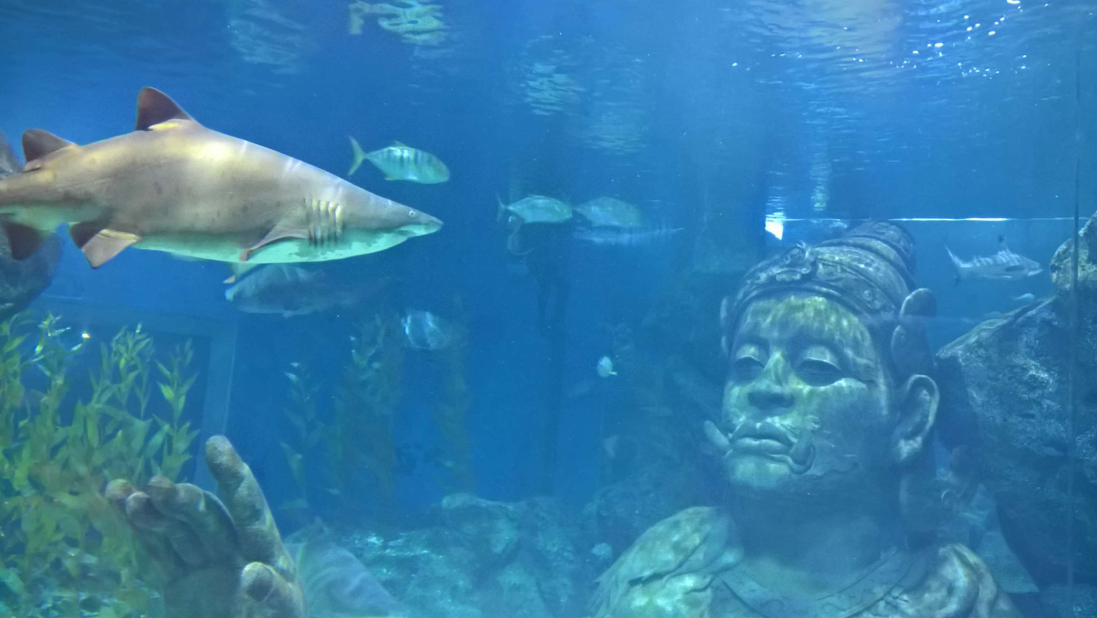 WP 20160713 13 24 10 Rich LI