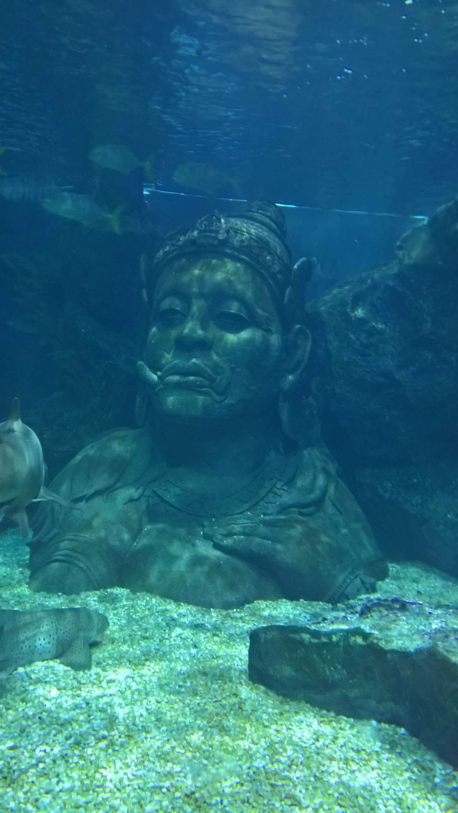 WP 20160713 13 26 18 Rich LI