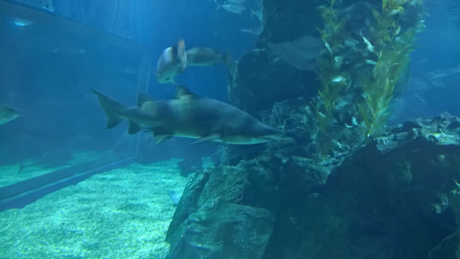 WP 20160713 13 28 03 Rich LI