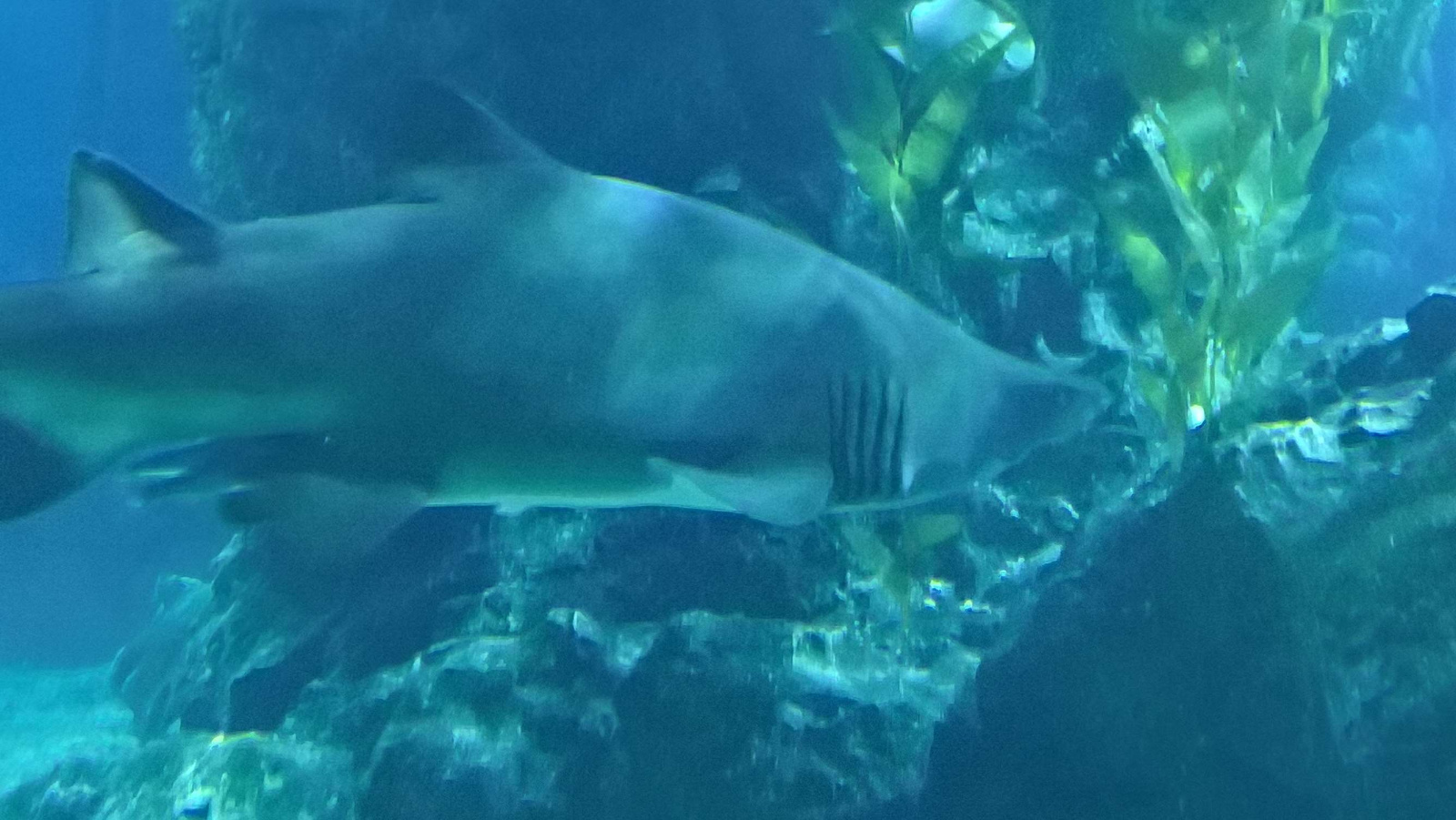 WP 20160713 13 28 09 Rich LI