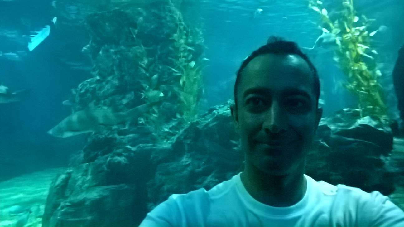 WP 20160713 13 28 32 Pro LI