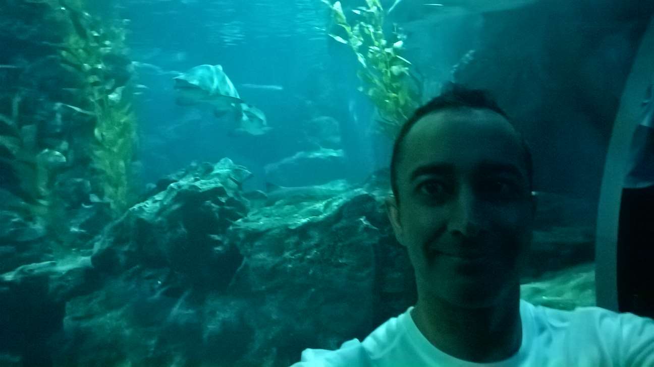 WP 20160713 13 28 46 Pro LI