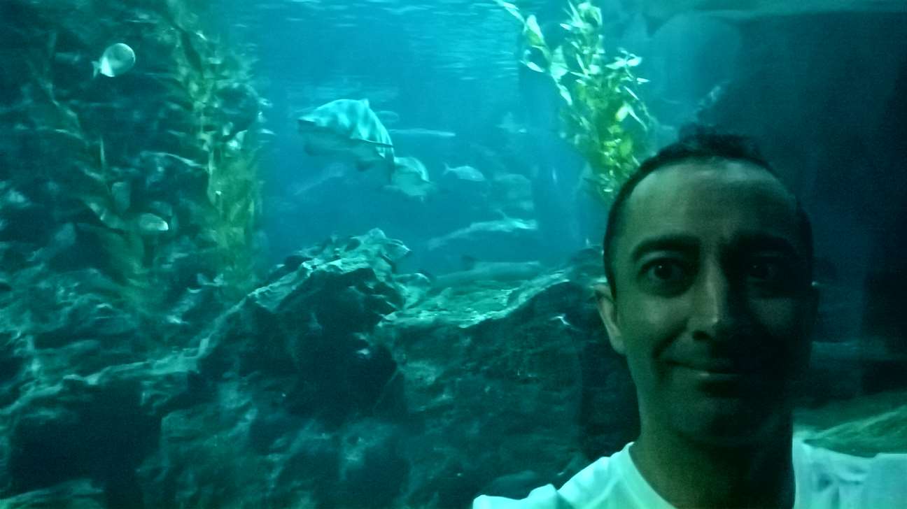 WP 20160713 13 28 49 Pro LI