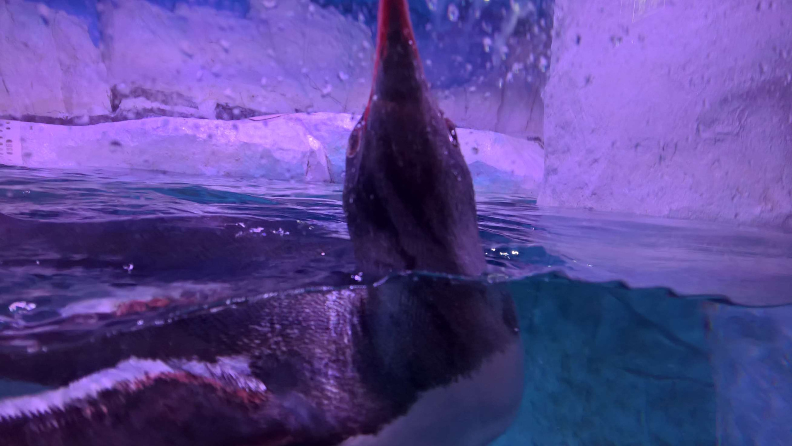 WP 20160713 13 30 43 Rich LI