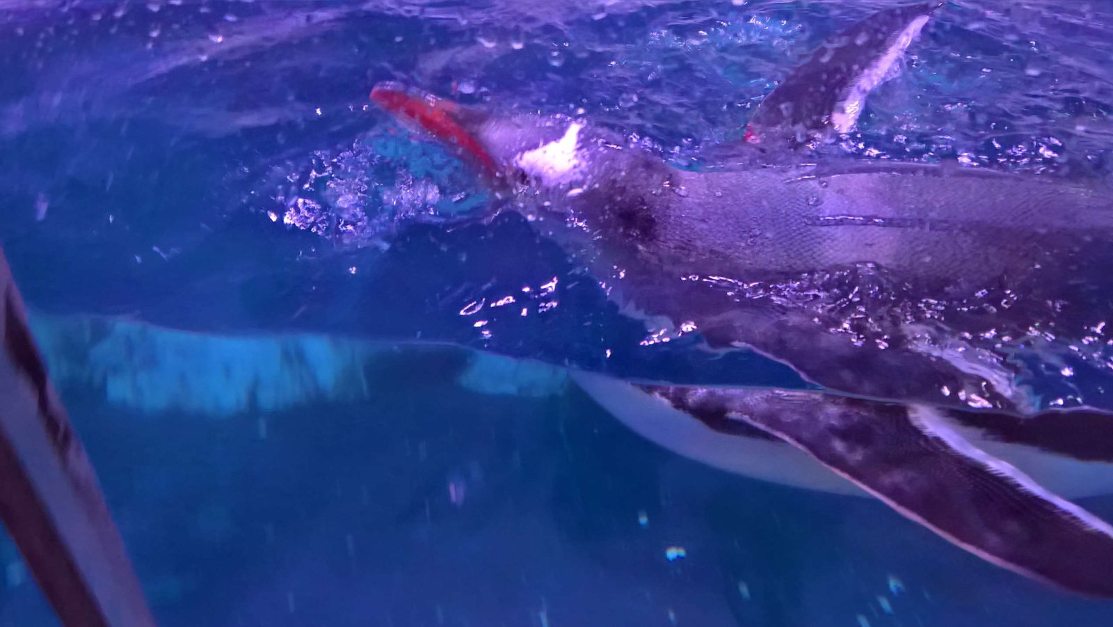 WP 20160713 13 31 41 Rich LI