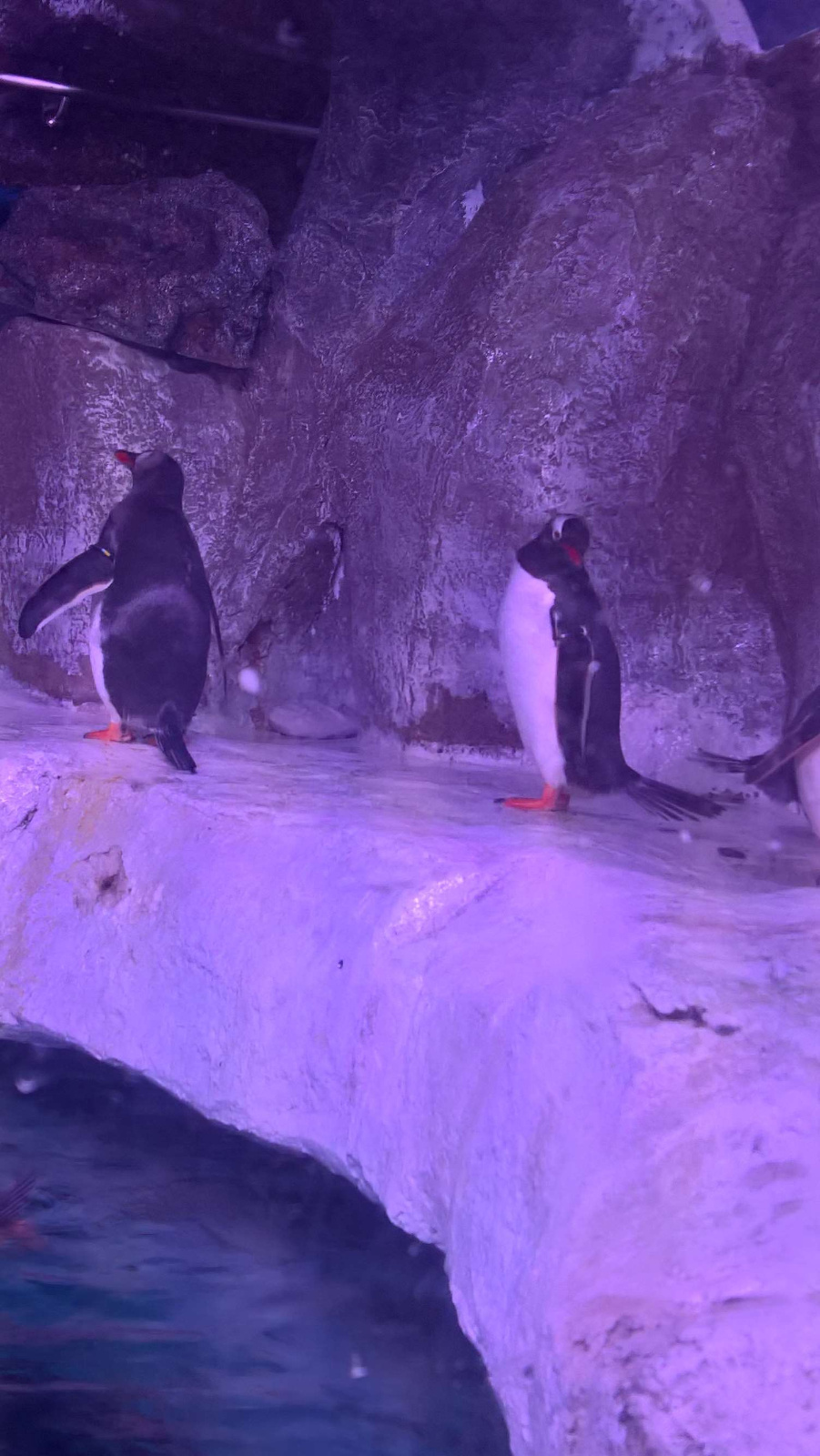 WP 20160713 13 32 21 Rich LI