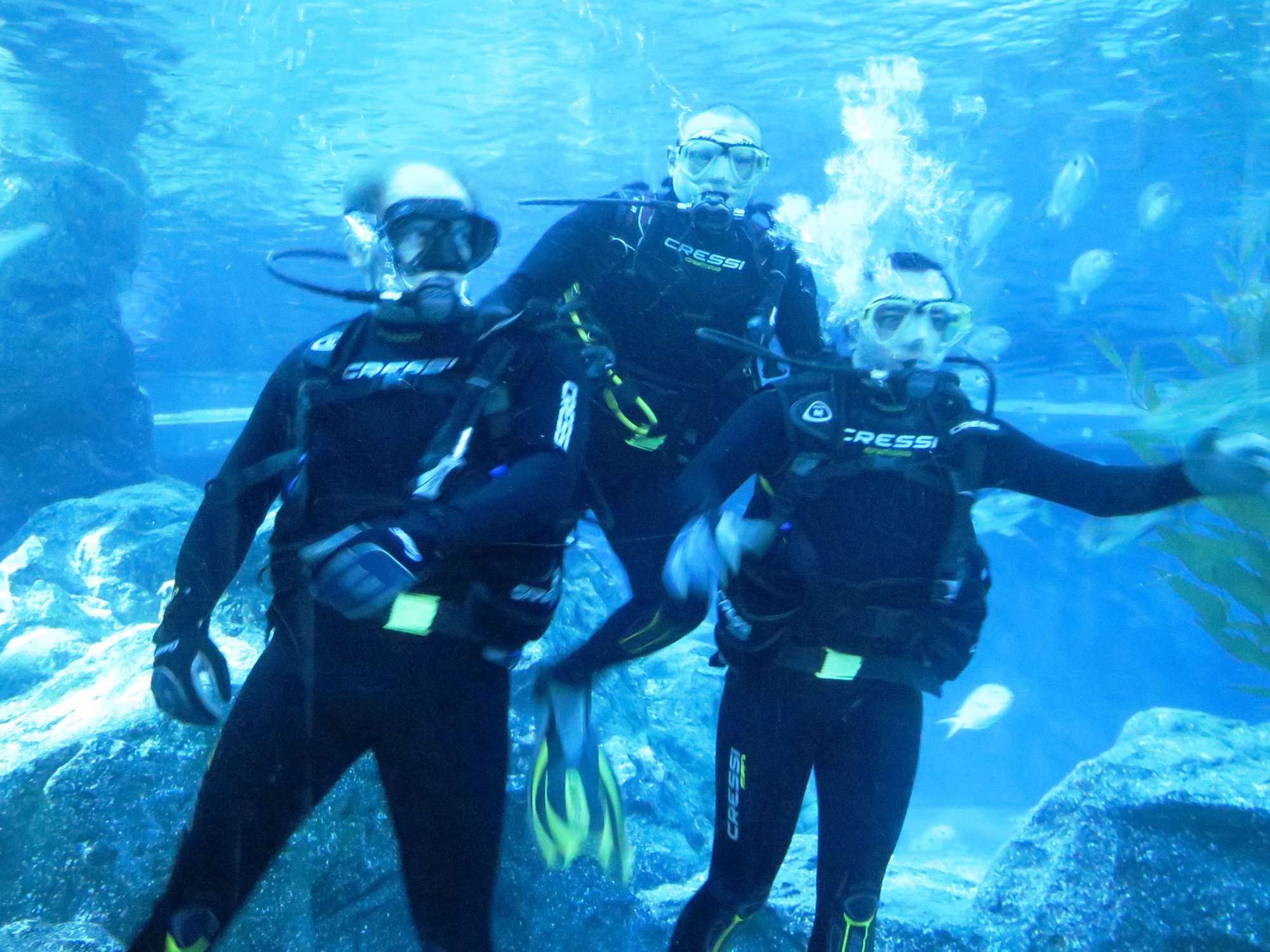 WP 20160713 14 25 00 62661