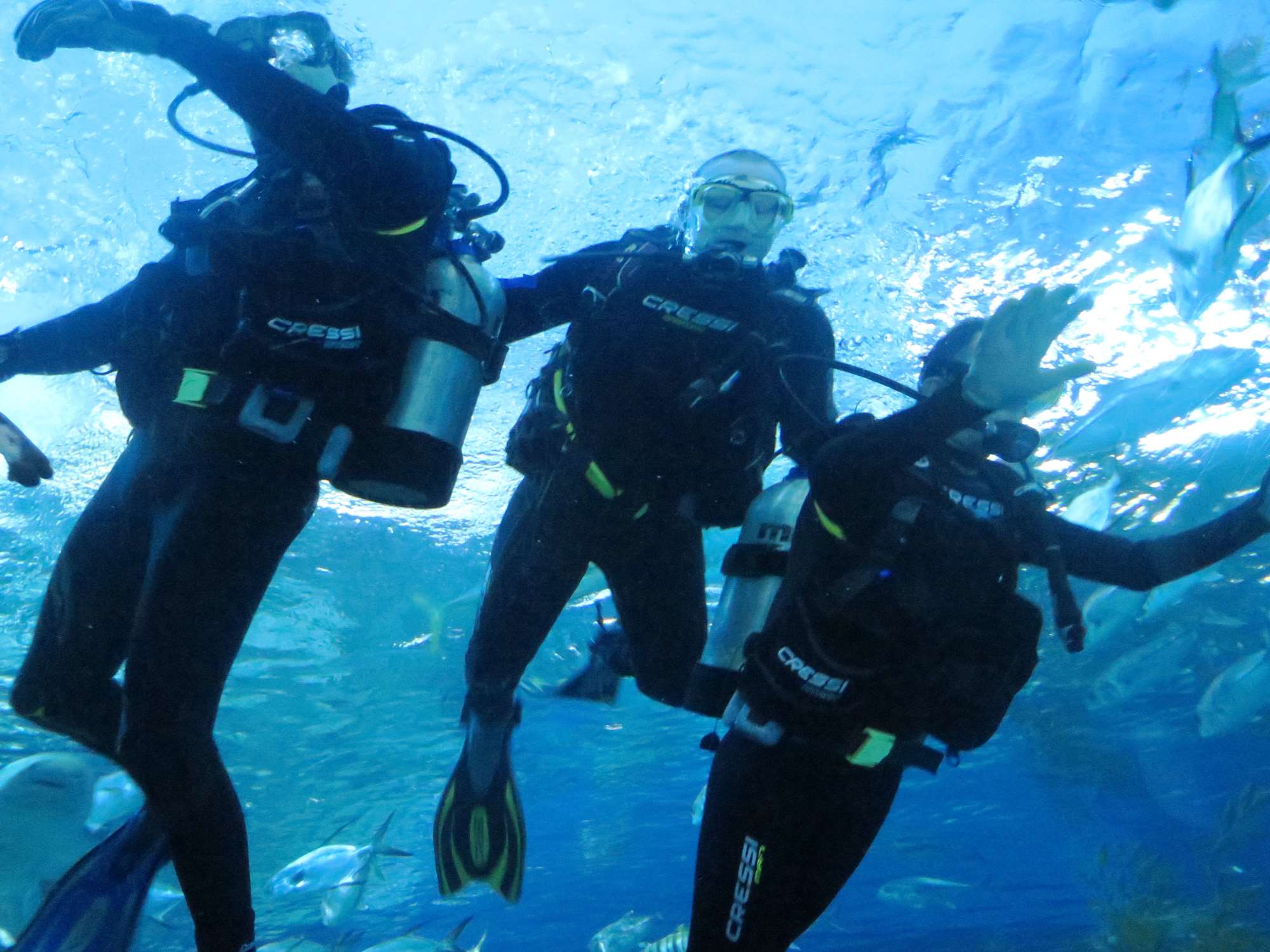 Wp 20160713 14 25 00 6269