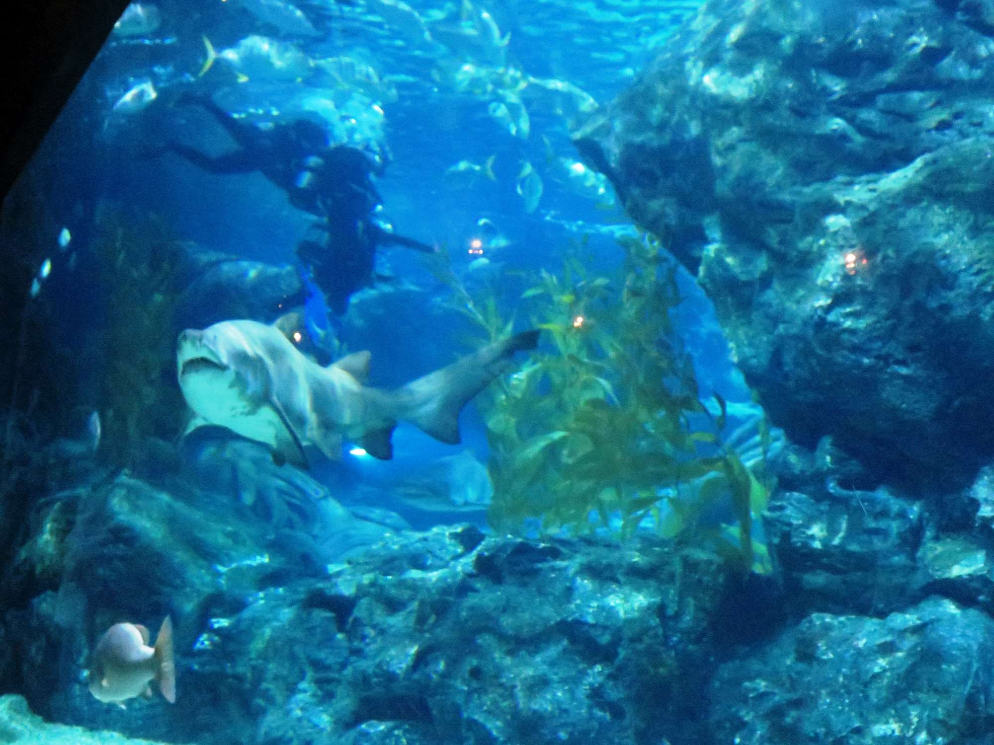 Wp 20160713 14 25 00 6277