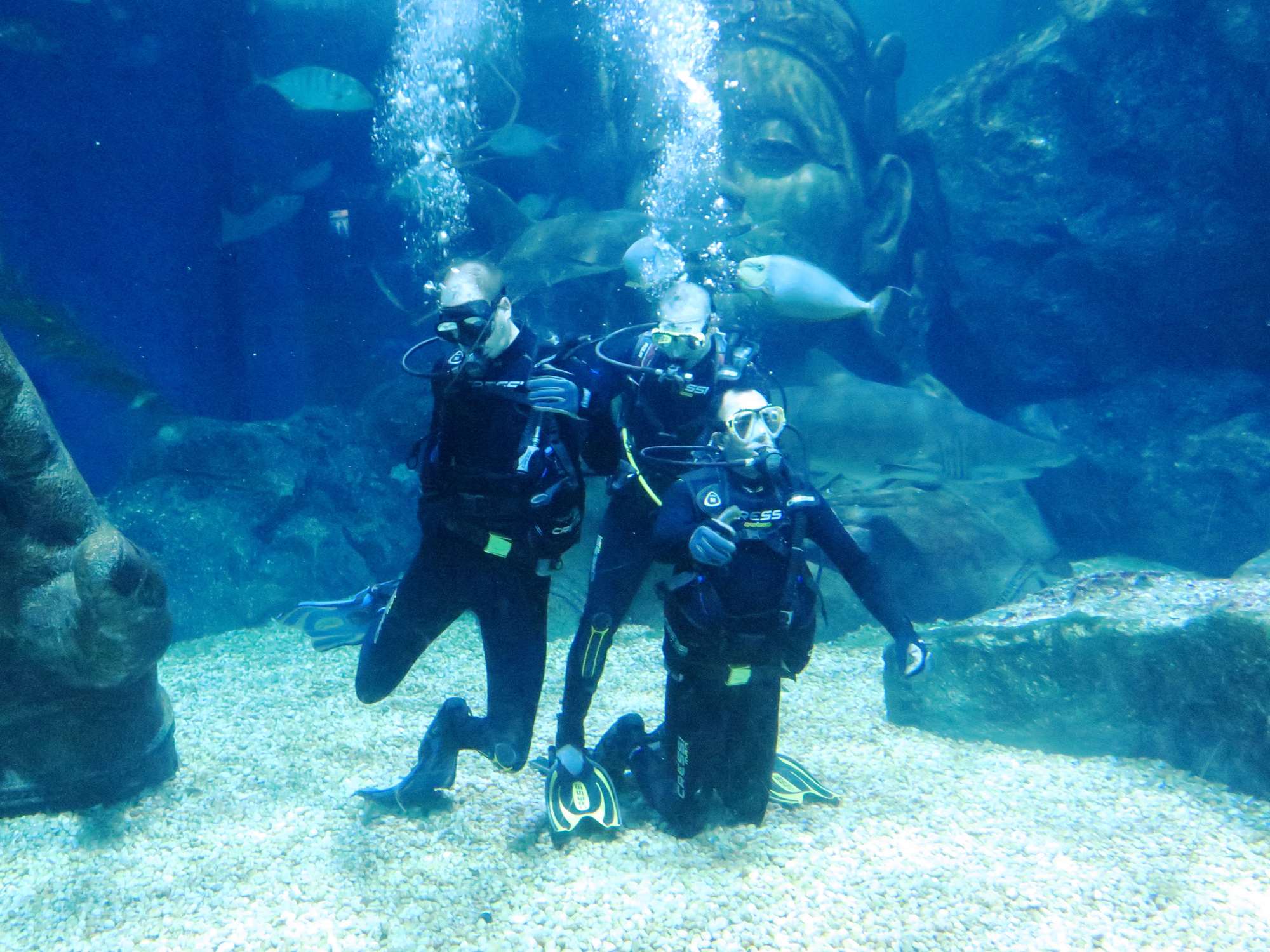 Wp 20160713 14 25 00 6280