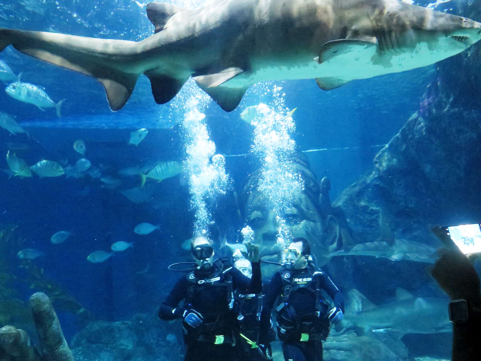 Wp 20160713 14 25 00 6281