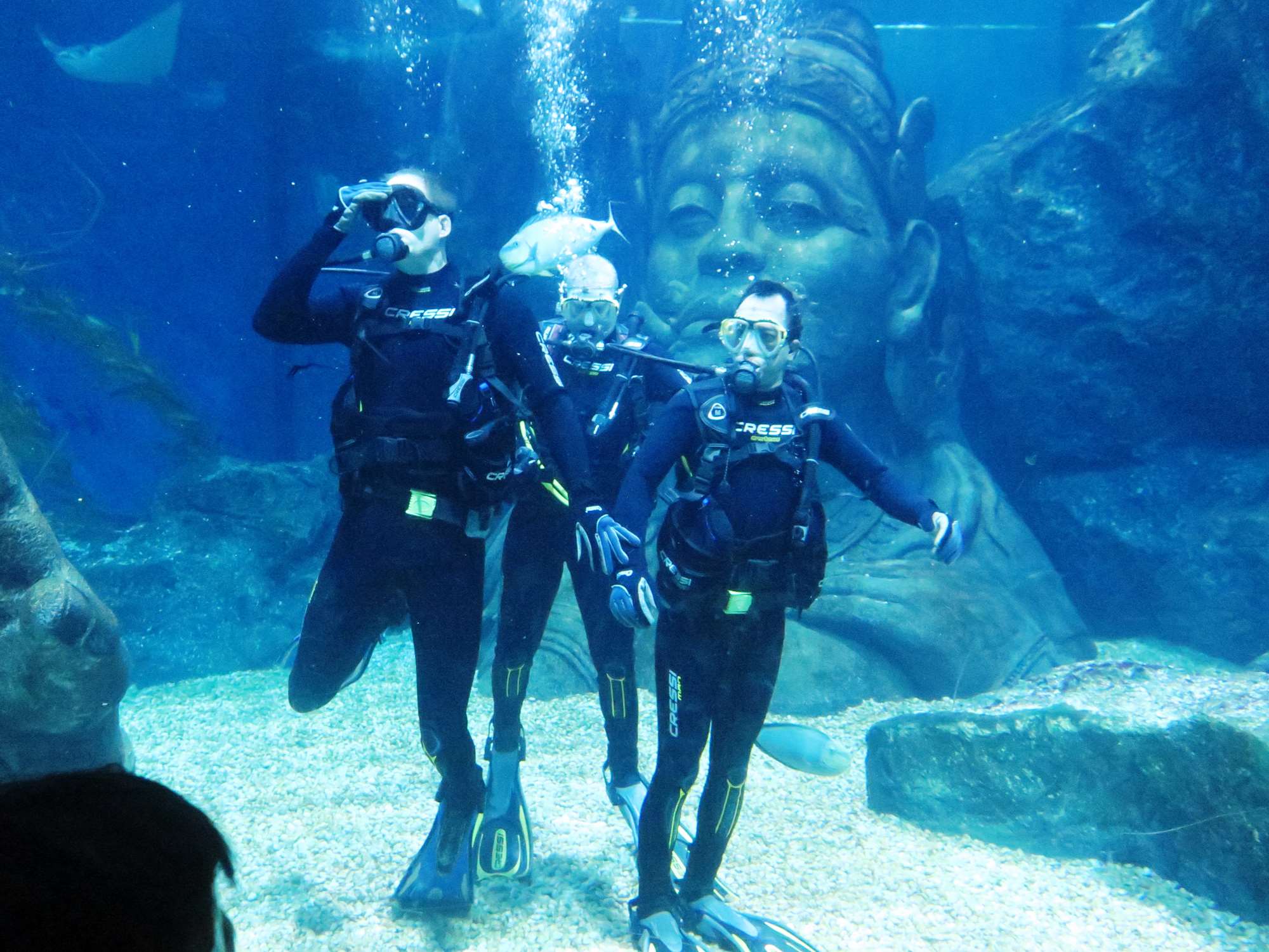 Wp 20160713 14 25 00 6283