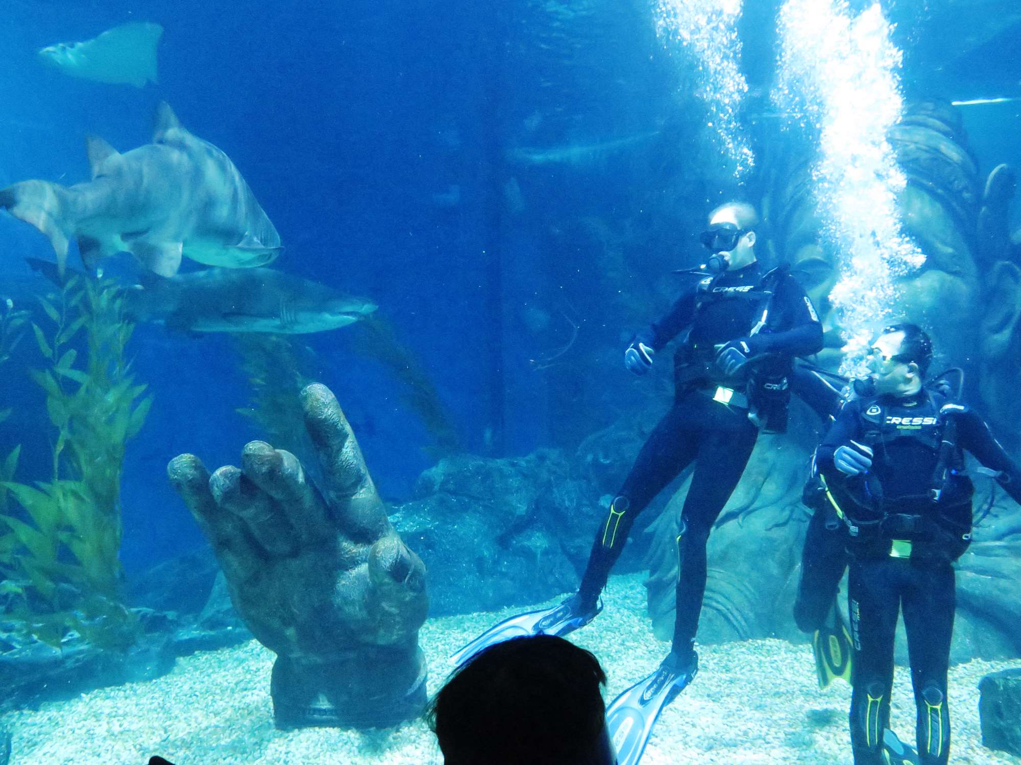 Wp 20160713 14 25 00 6285