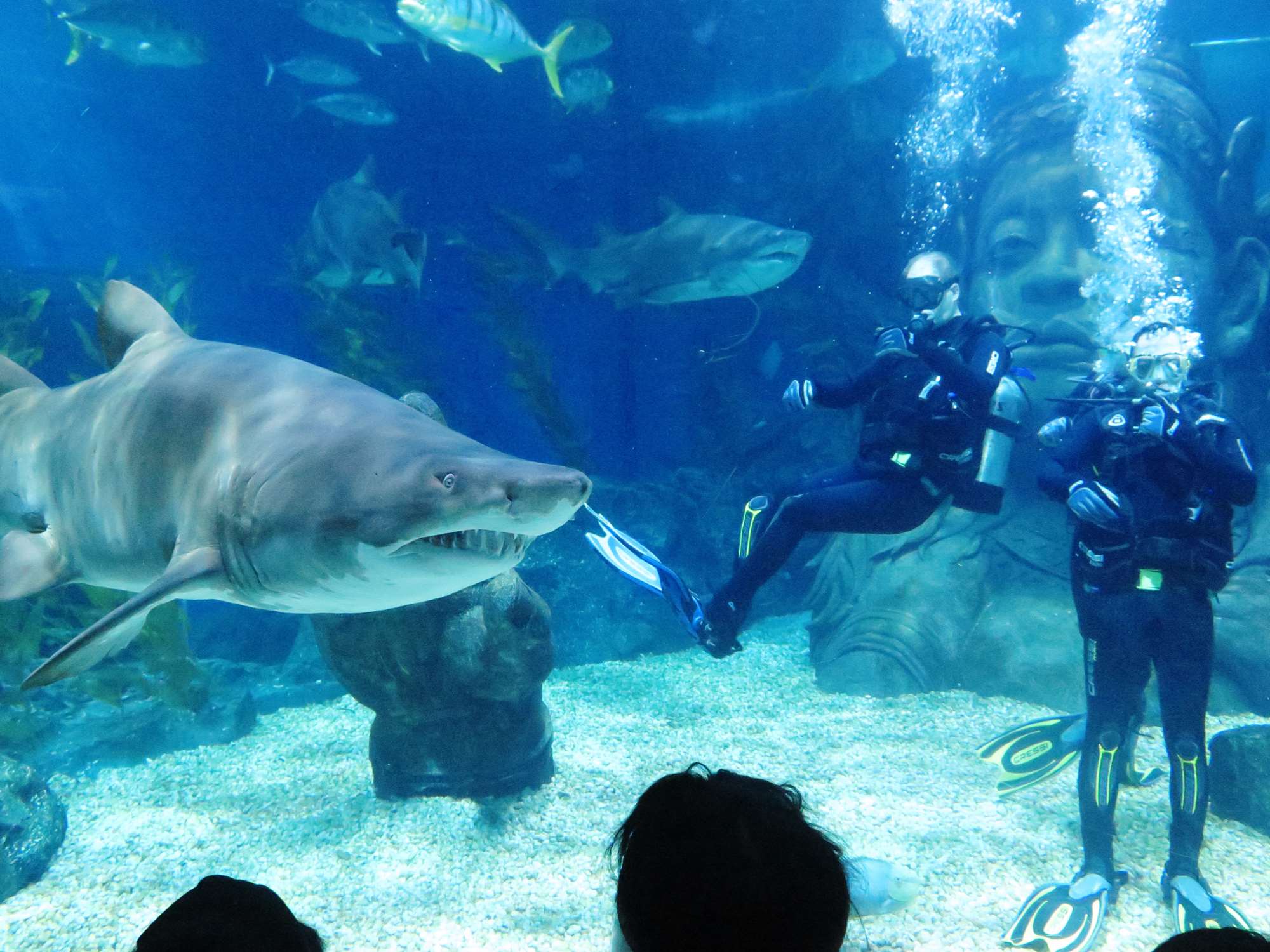 Wp 20160713 14 25 00 6287