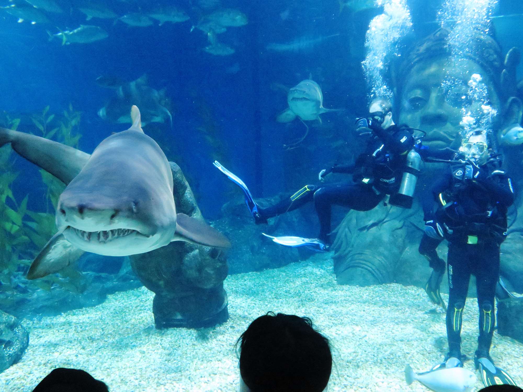 Wp 20160713 14 25 00 6288