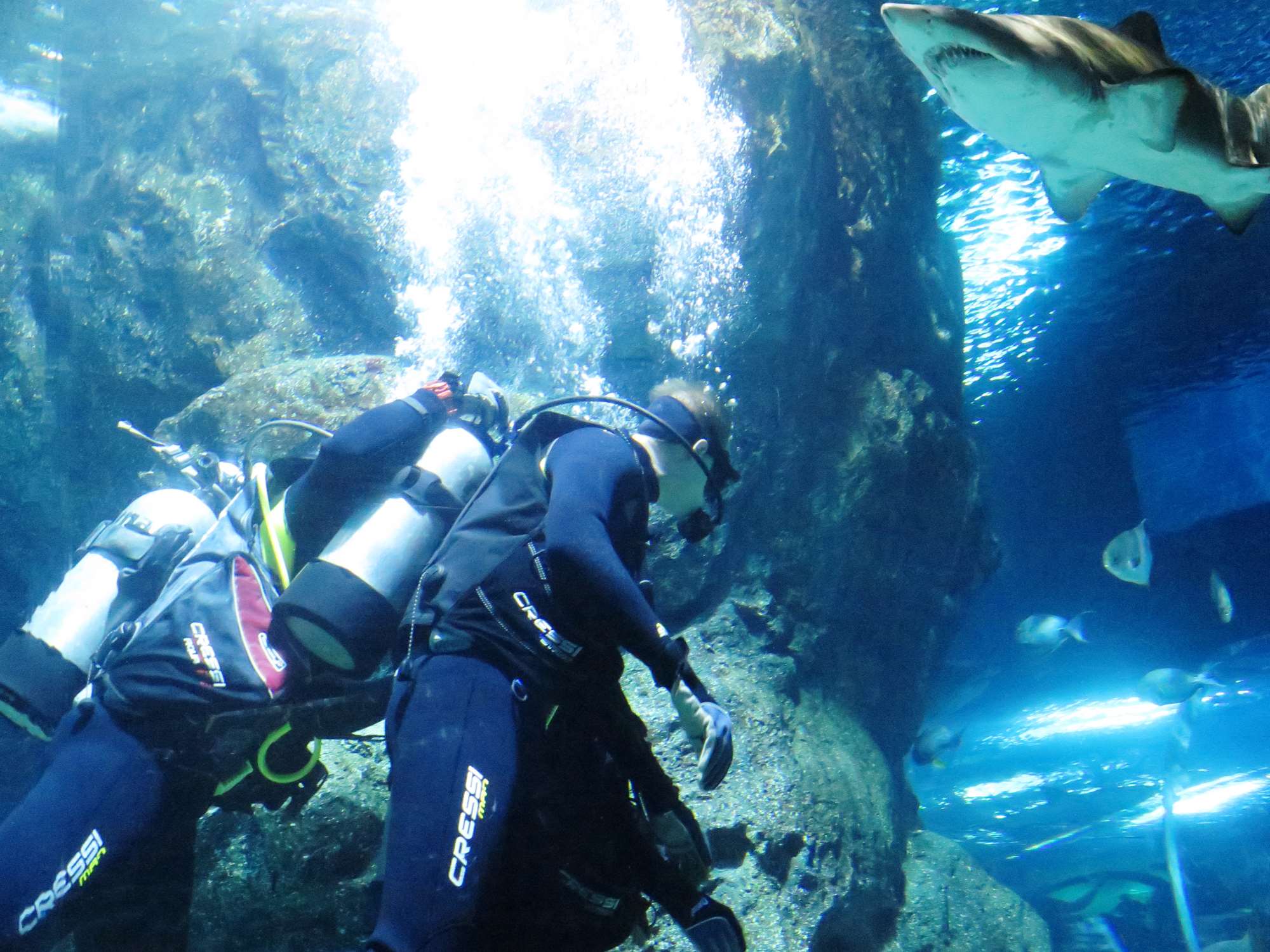 Wp 20160713 14 25 00 6291